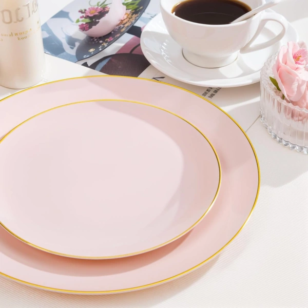 Pink Plastic Plates — view 12