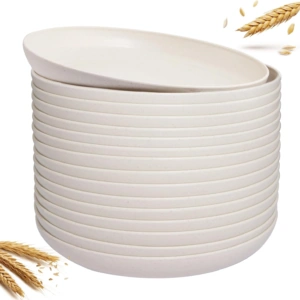 Beige Wheat Straw Plates,Deep Dinner Plastic Plates,Reusable Plates,10 inch Unbreakable Plates Set,Lightweight Microwave Dishwasher Safe,Plastic Plates for Picninc,Camping, RC366-1 — view 10