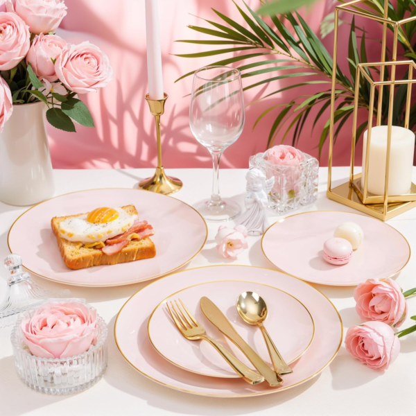 Pink Plastic Plates — view 14