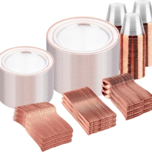 Clear Rose Gold Deluxe Disposable Dinnerware Set — view 11
