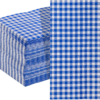 Blue Gingham