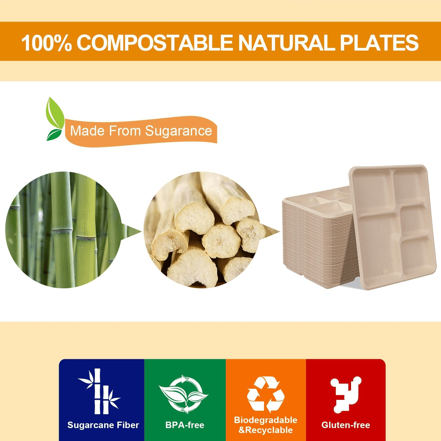 Natural 100% Compostable 5 Compartment Paper Plates — view 5
