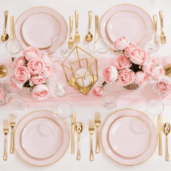 Pink Plastic Plates — view 10