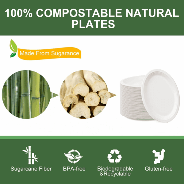 White 100% Compostable Paper Plates — view 4