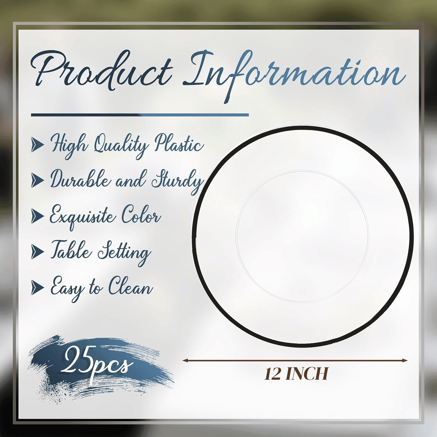 Clear And Black 12Inch Plastic Charger Plates — view 4
