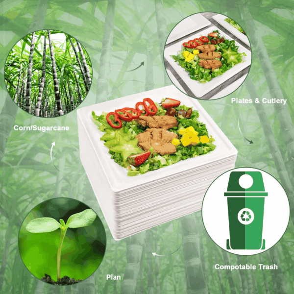 Square Biodegradable Bagasse Plates — view 5