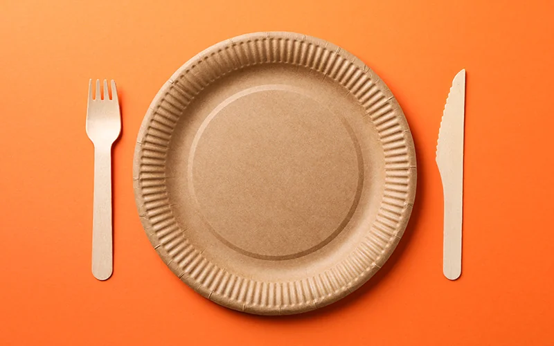 What is a Paper Plate? — illustration 2