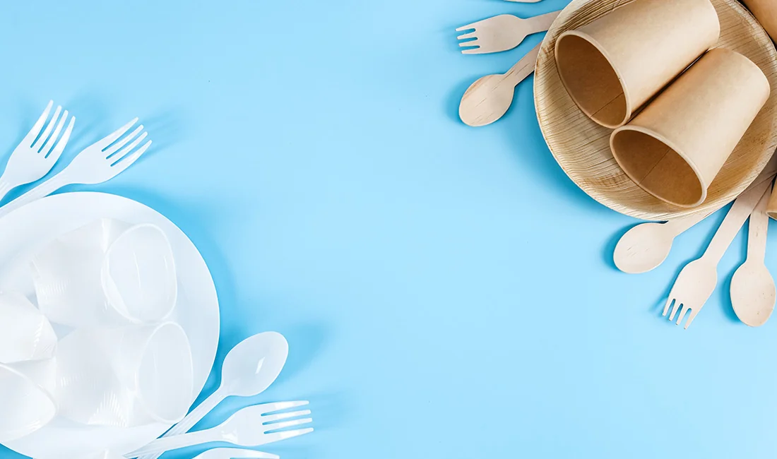 Paper vs Plastic Plates: Key Comparisons for Smart Choices — featured image