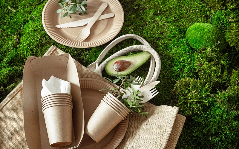 Printable Picnic Disposable Tableware Checklist — illustration 2