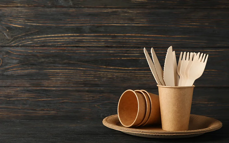 How to Choose Disposable Cutlery? — illustration 2