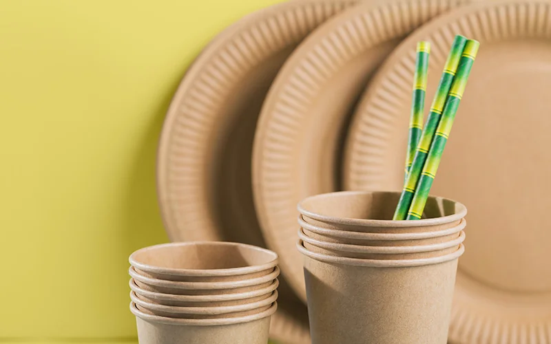 How to Select the Right Eco-friendly Party Tableware? — illustration 1