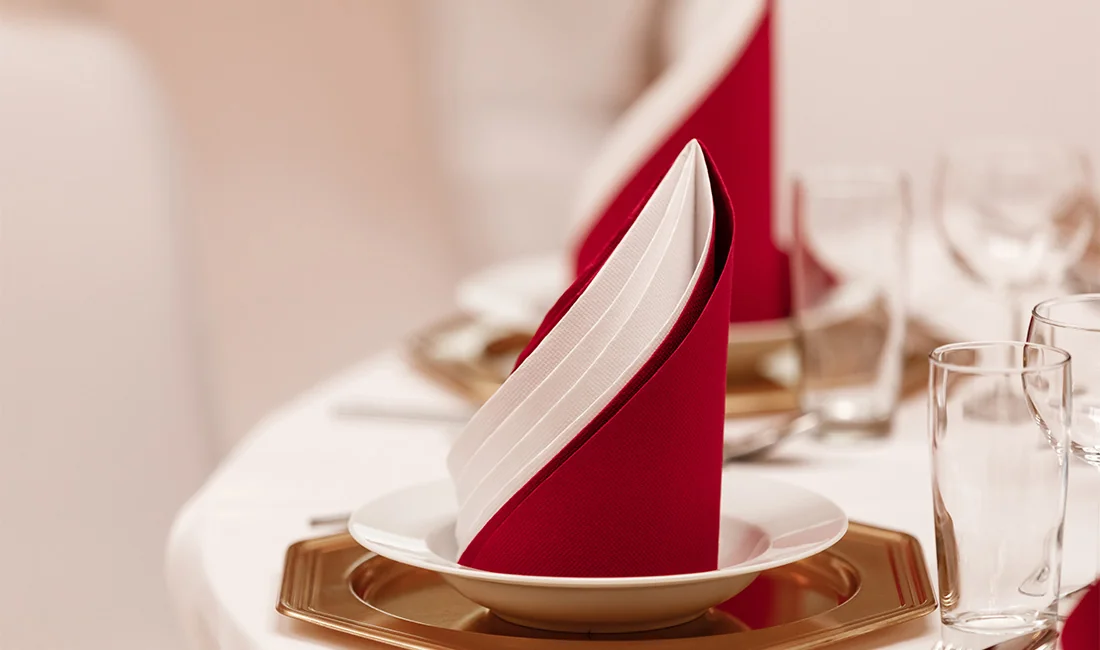 Napkin GSM Guide: Essential Insights for Sizing and Selection — featured image