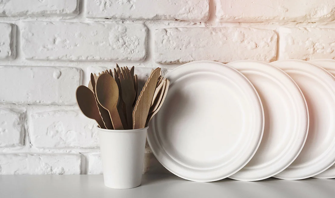 How to Choose Corporate Event Disposable Tableware: A Complete Guide — featured image