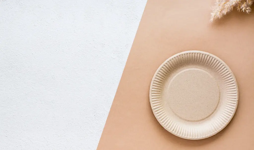 When and Why to Choose Heavy Duty Disposable Plates: Everything You Need to Know — featured image