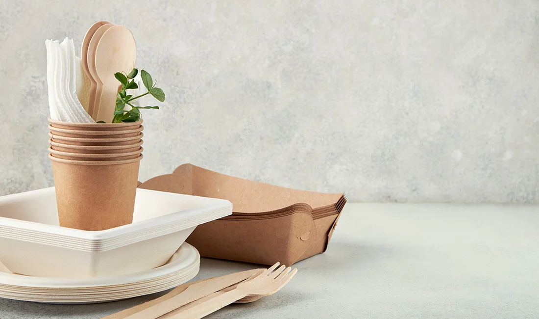 Best Disposable Tableware for Catering: A Complete Buying Guide — featured image