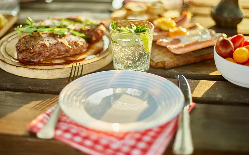 Disposable Tableware for Picnics vs BBQ: What are the Differences? — illustration 1