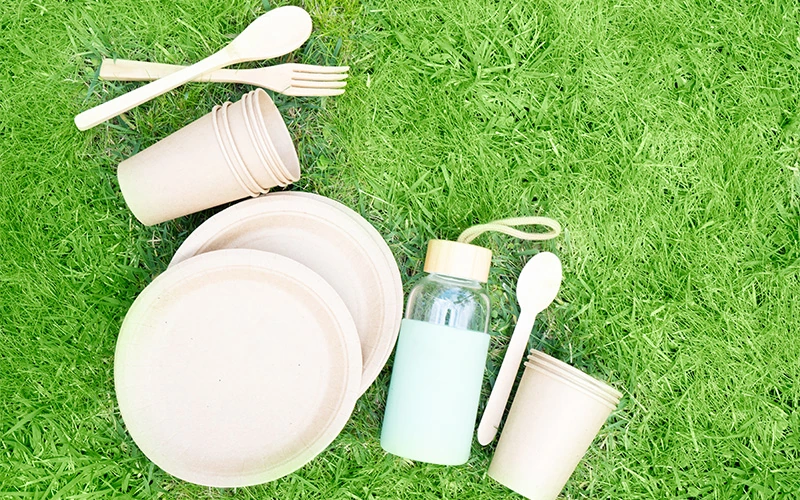 How to Choose the Right Disposable Tableware for BBQ and Picnic? — illustration 2