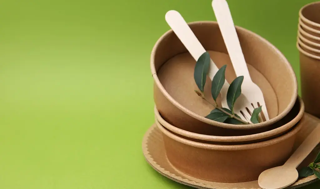 Explain Sustainable Disposable Tableware Materials: Guide to Eco-Friendly Choices — featured image