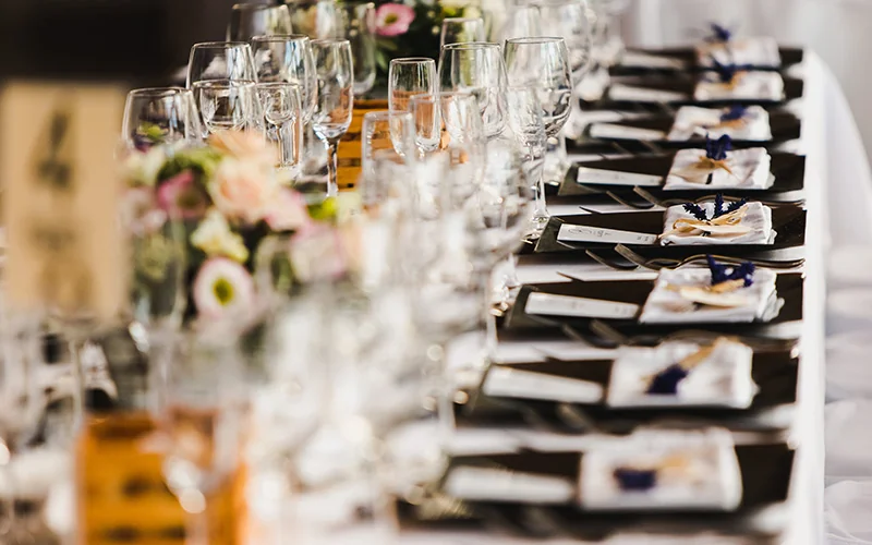 Step 6: Track and Adjust Event Tableware Budgeting — illustration 2
