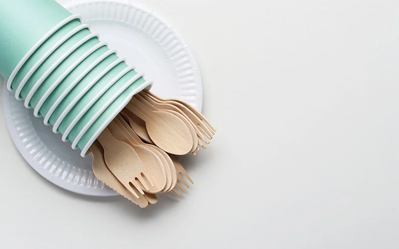 What Truly Matters When Choosing Quality Disposable Tableware? — illustration 2