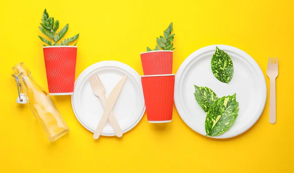 Disposable Tableware Myths: Debunking Misconceptions for Smarter Choices — featured image
