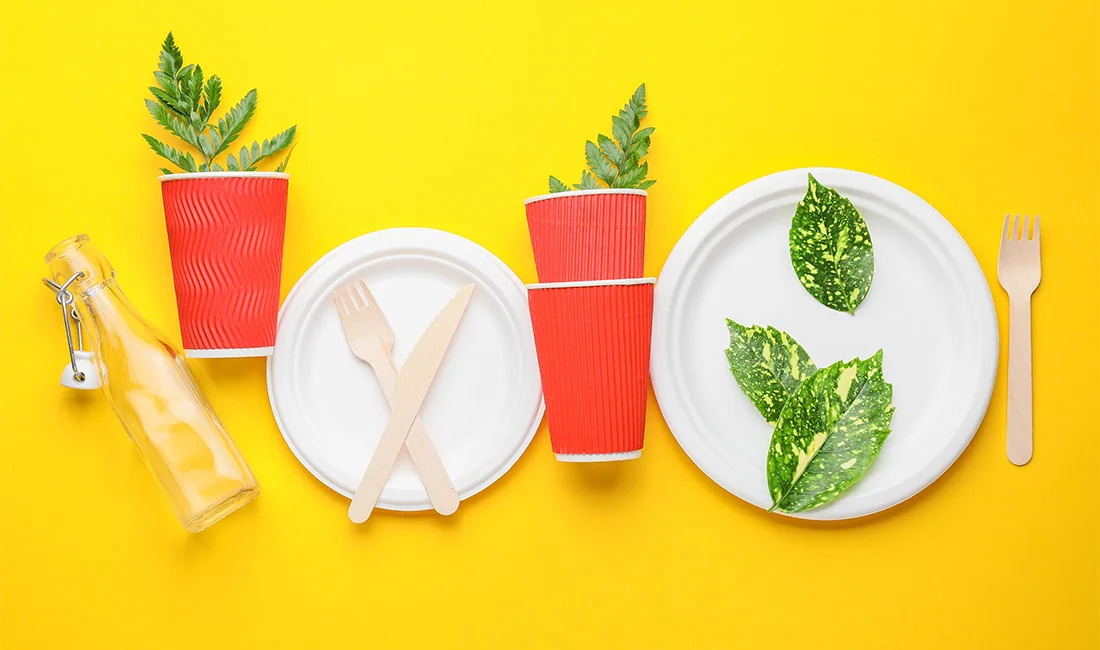 Disposable Tableware Myths: Debunking Misconceptions for Smarter Choices — featured image