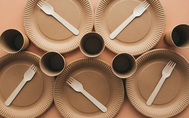 Eco-Friendly & Biodegradable Tableware — illustration 1