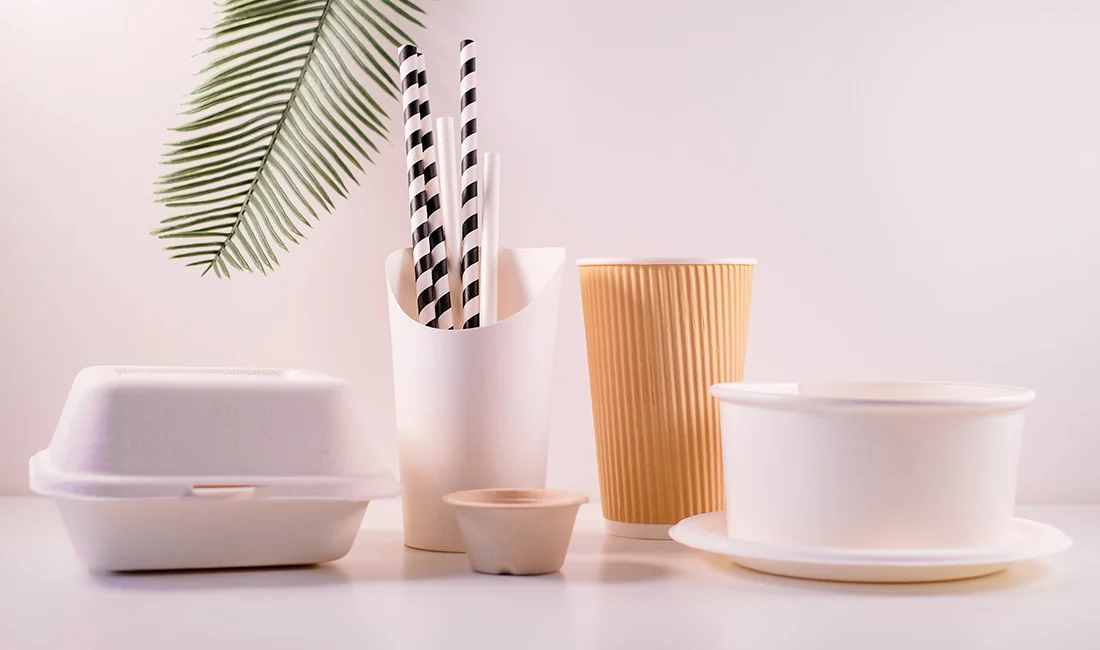 Disposable Tableware for Office Parties: Top Choices & Tips — featured image