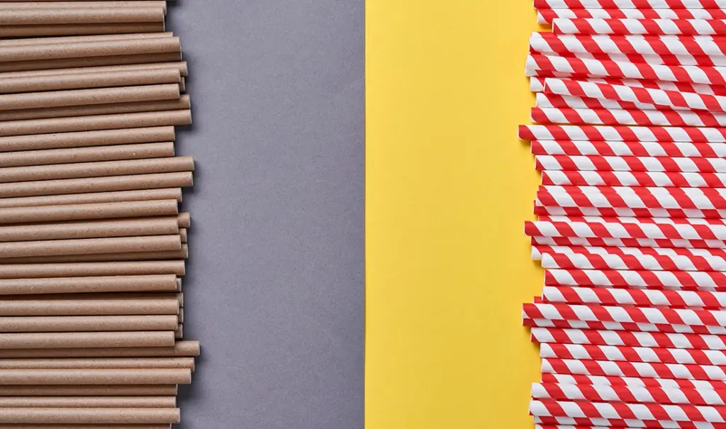 Paper vs PLA Straws: Which Is Better for Your Party? — featured image