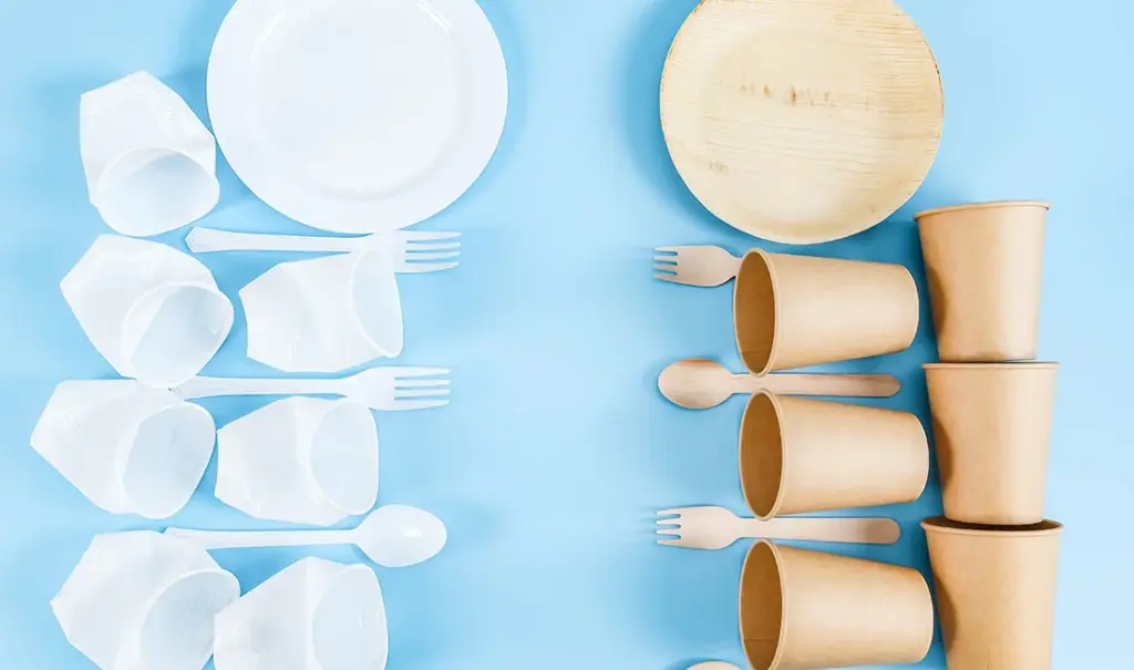 BPA-Free and Food-Grade Disposable Tableware: What Labels Mean and How to Choose Safely — featured image